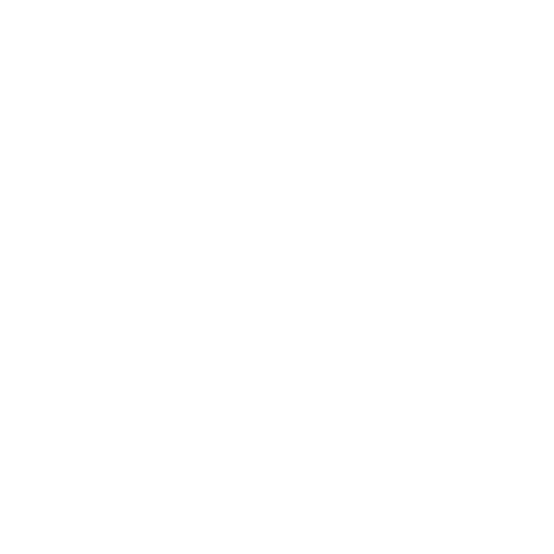 shine- (1)