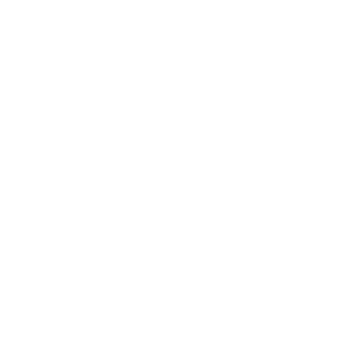 shine- (2)